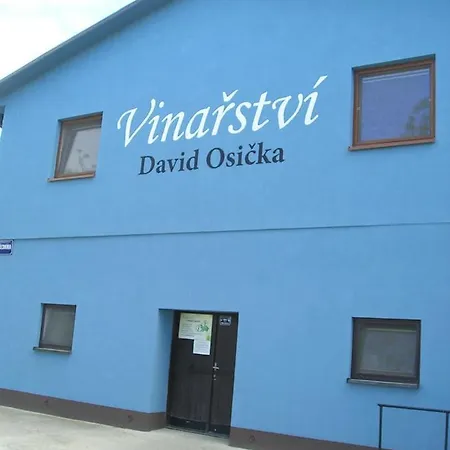 Vinarstvi David Osicka Apartment Velke Bilovice Exterior photo