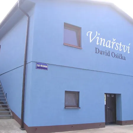 Vinarstvi David Osicka Apartment Velke Bilovice Exterior photo